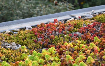 the cost of Thorpe Acre green roof installation